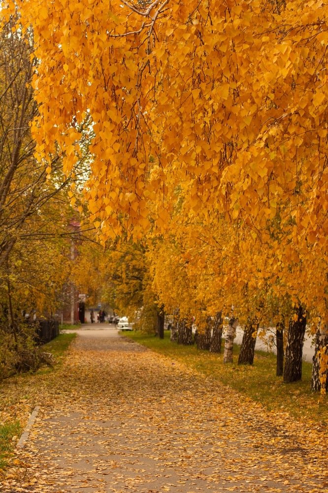 Осень на Алтае.