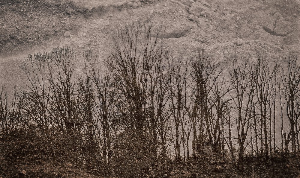 Photograph by Елена Стещенко