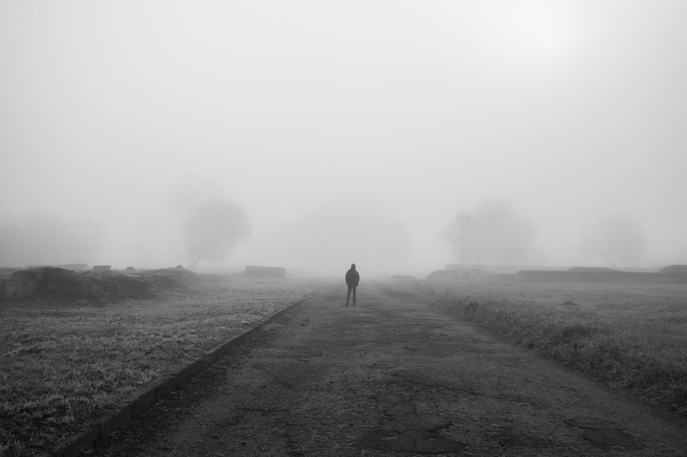 Photograph by Елена Стещенко