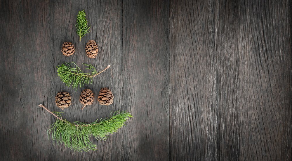 Photograph by Валерия Кузнецова