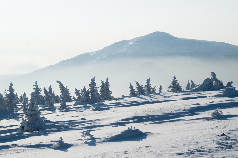 Photograph by Елизавета Никулина