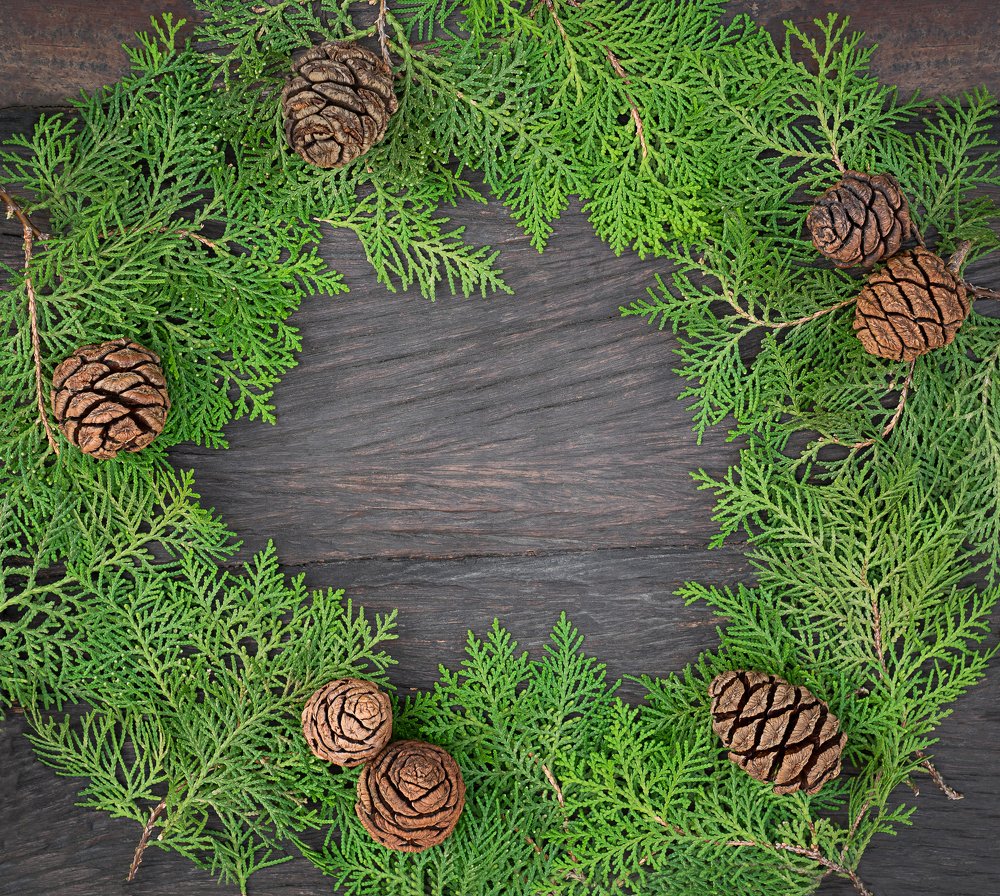 Photograph by Валерия Кузнецова