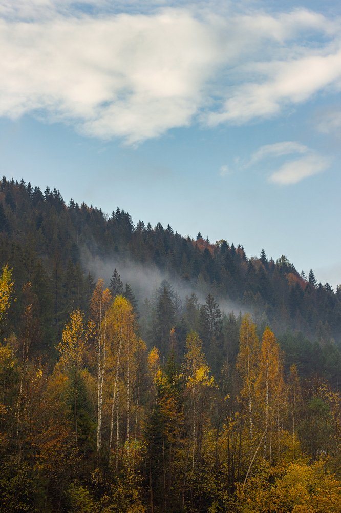 Photograph by Віра Ховалко