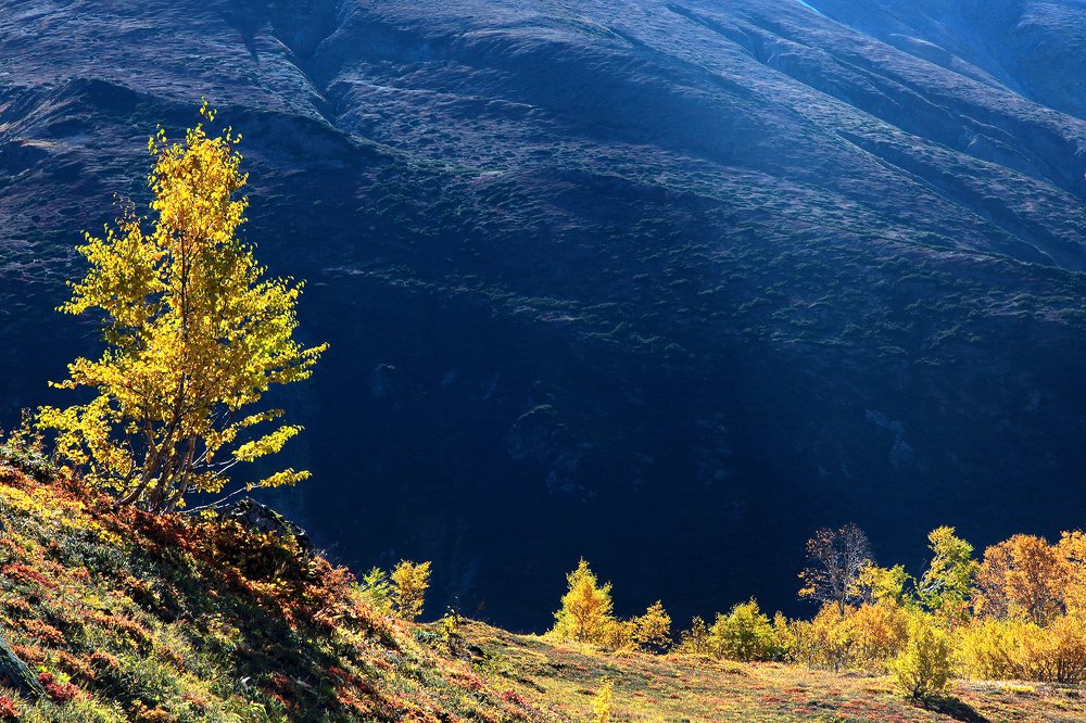 Осень в отрогах древнего вулкана Вачкажец (Камчатка)