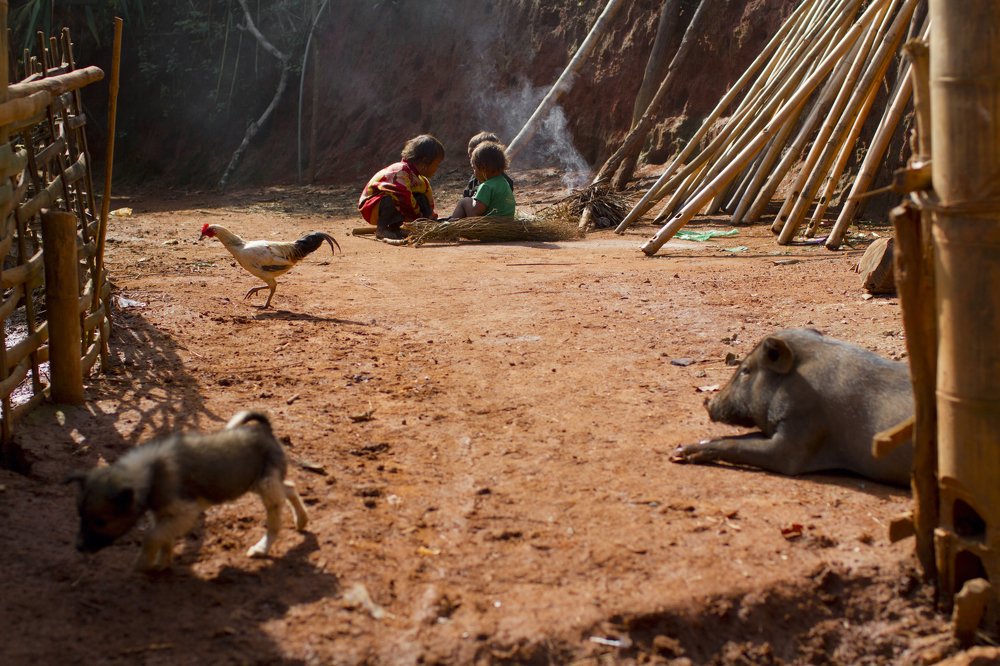 Photograph by Faletkin Mikhail