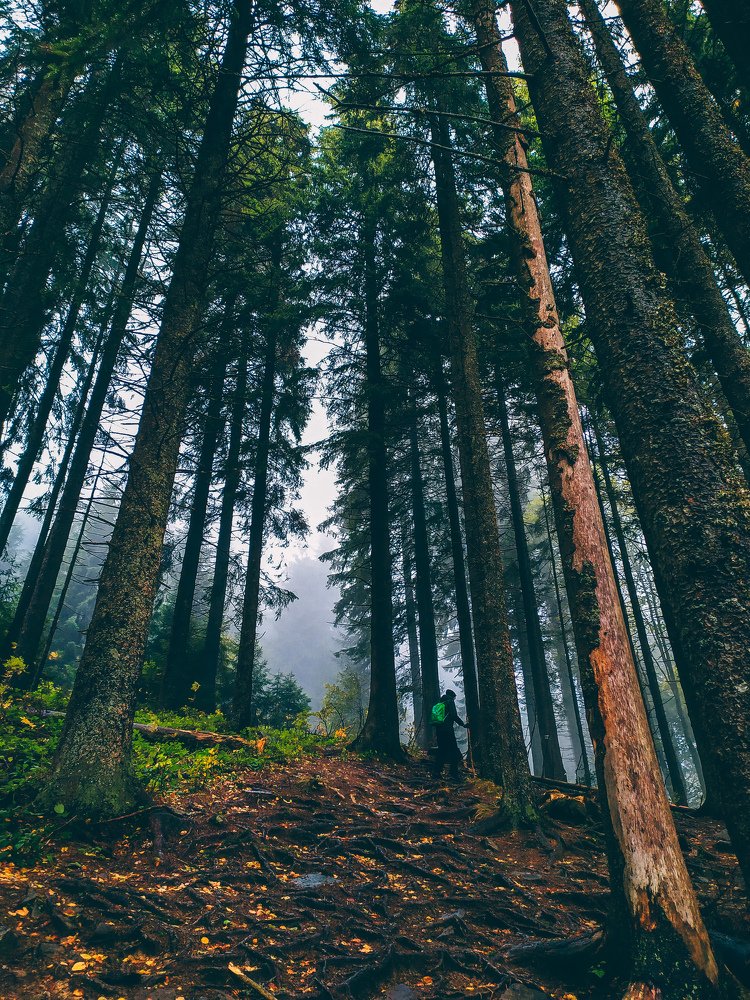 Photograph by Alekseeva Marina