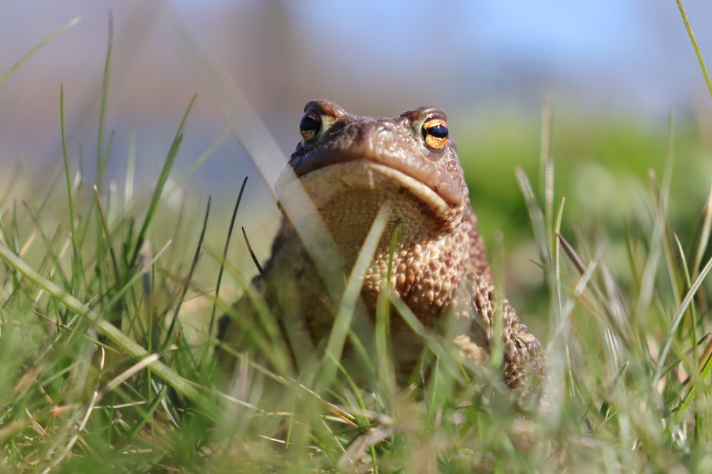 Photograph by Екатерина Слепнева