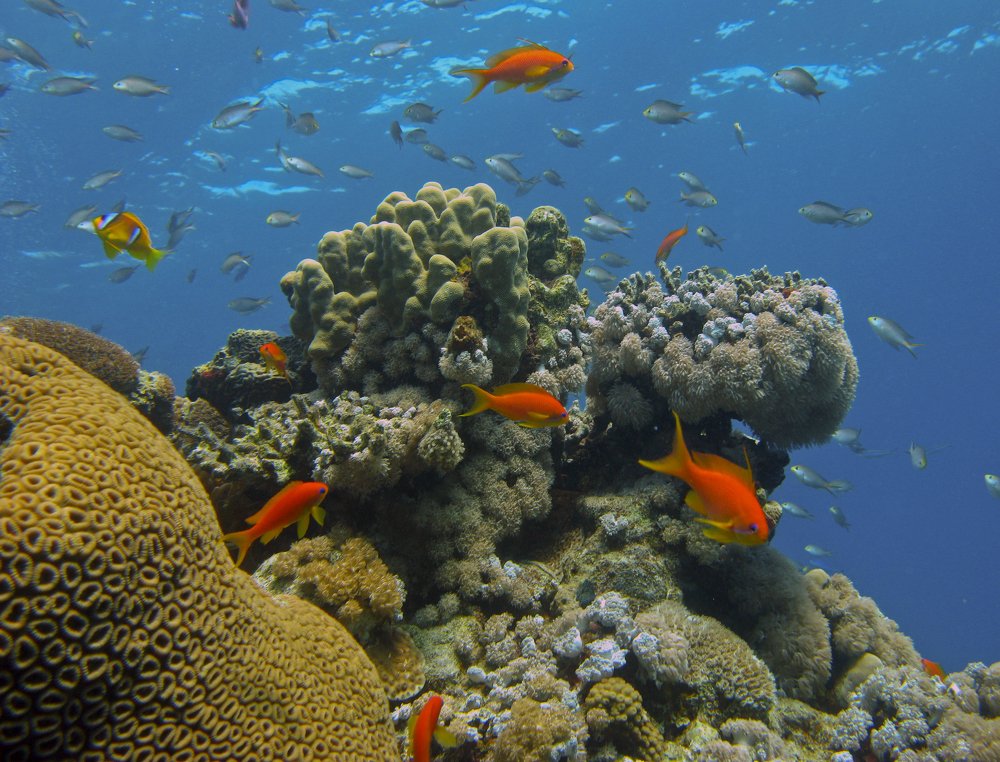 Фотография автора Эрнст Антонов