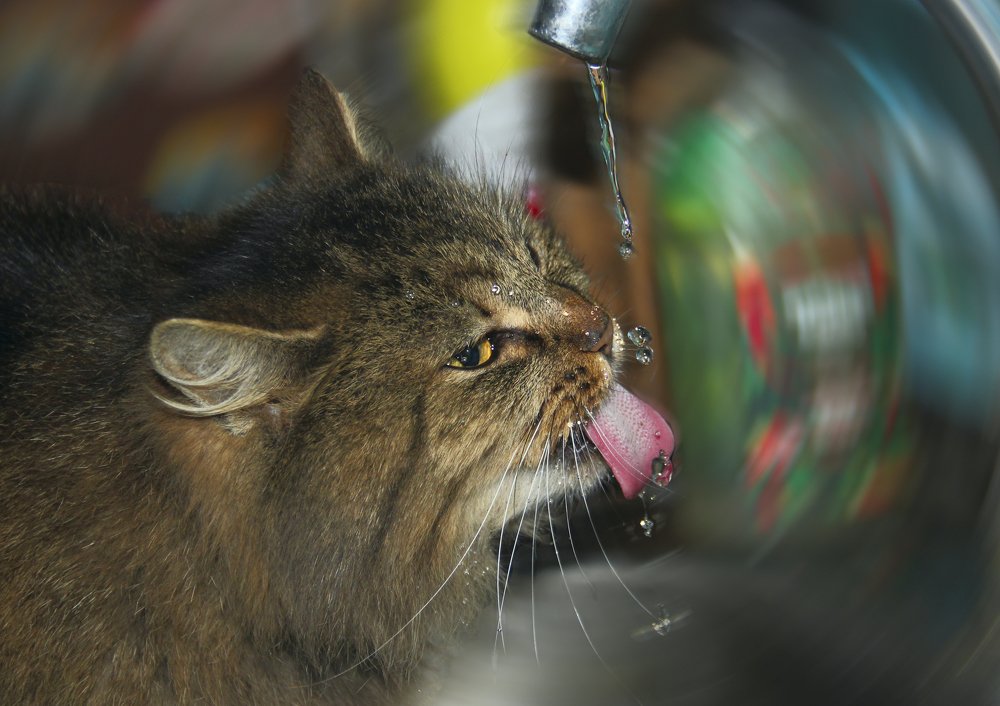 Photograph by Анна-Лаймуте Милошевич