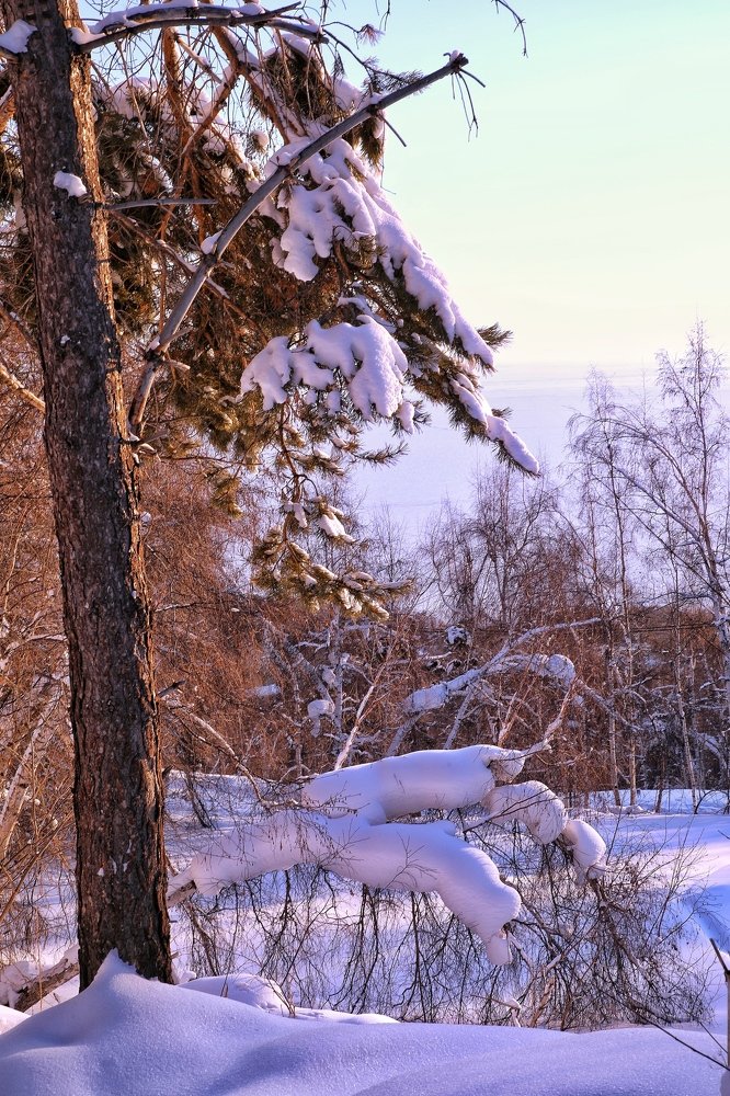 Photograph by Ольга Одаренко