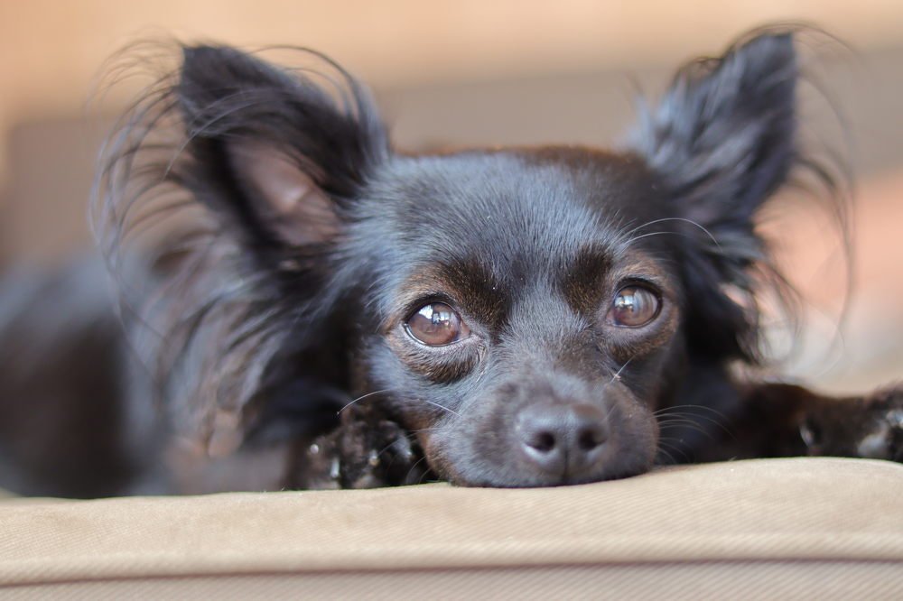 Photograph by Екатерина Слепнева