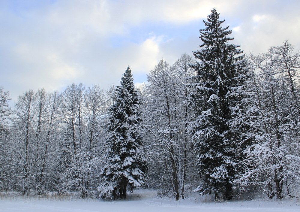 Photograph by Анна-Лаймуте Милошевич