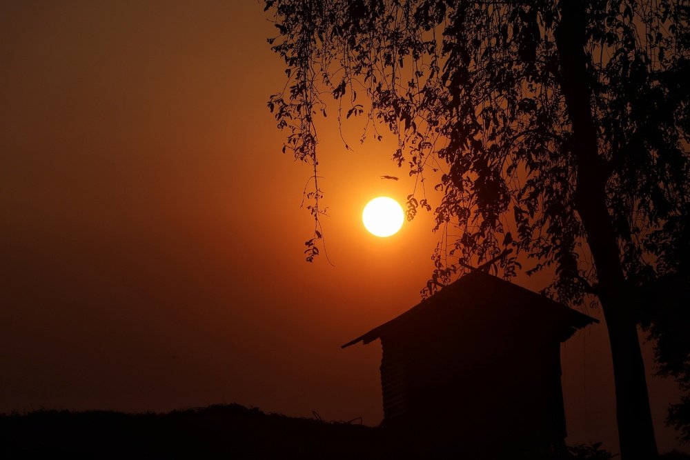 Фотография автора Abhijit Mukherjee