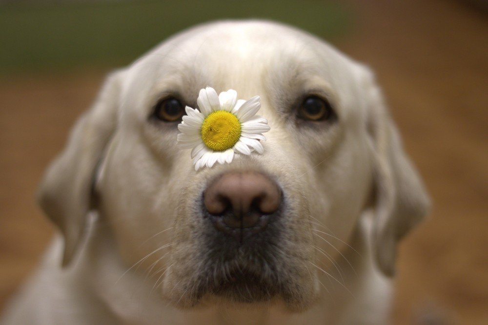 Photograph by Наталья Лыкова