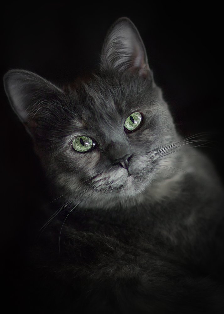 Photograph by Татьяна Самойлова