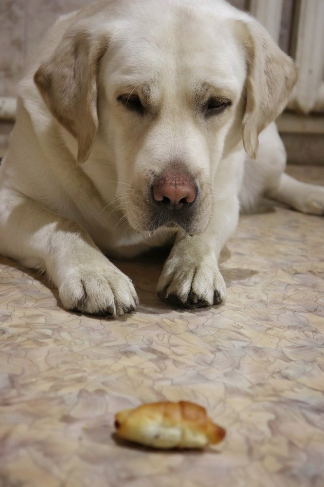 Photograph by Наталья Лыкова