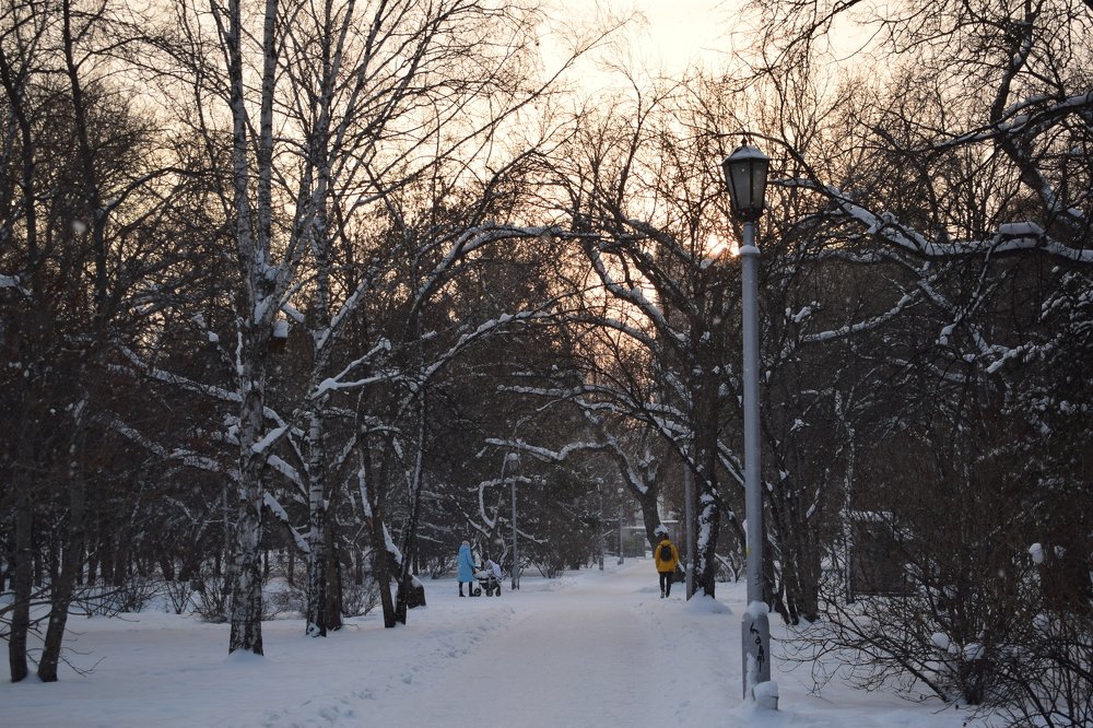 Прогулка в Первомайском сквере