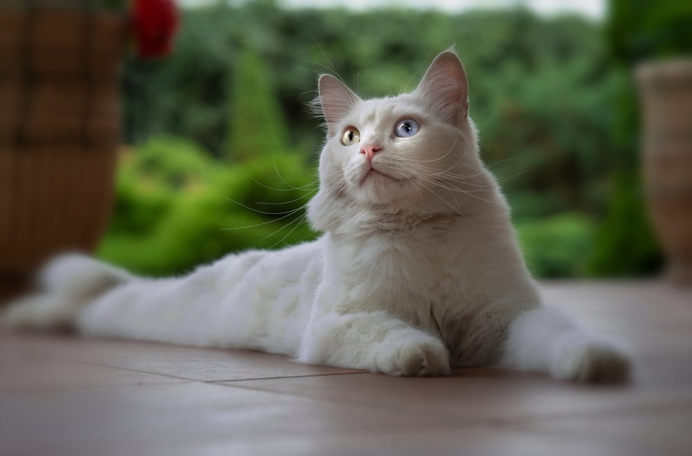 Photograph by Валерий Одинцов