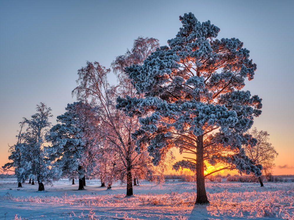 Photograph by Константин Леонтьев