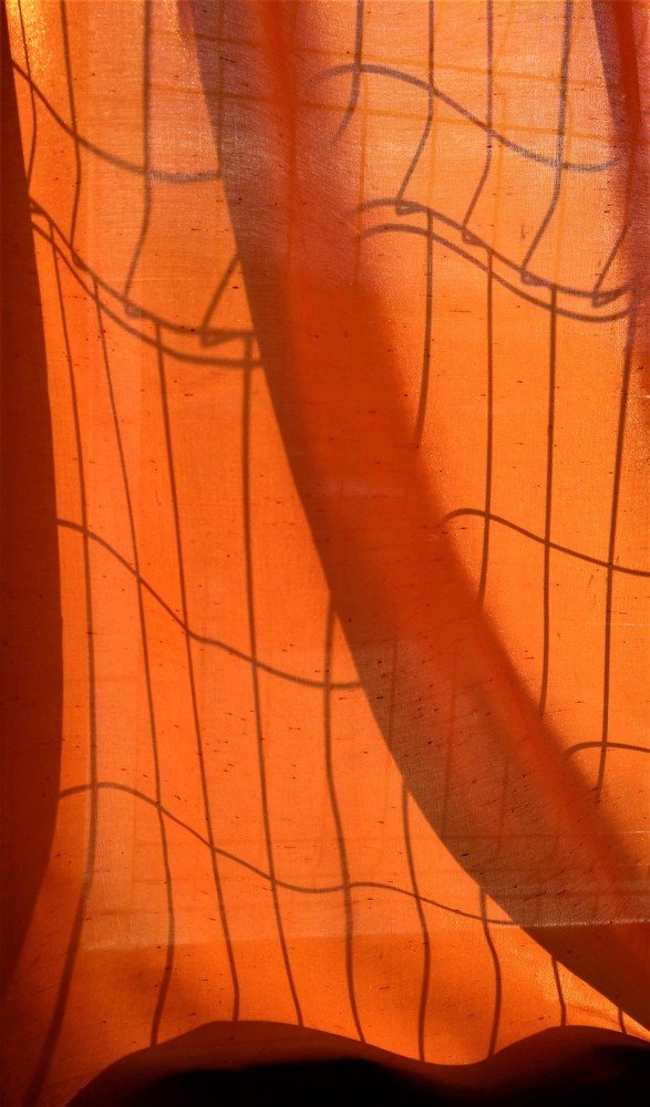 Photograph by Анастасия Орлова