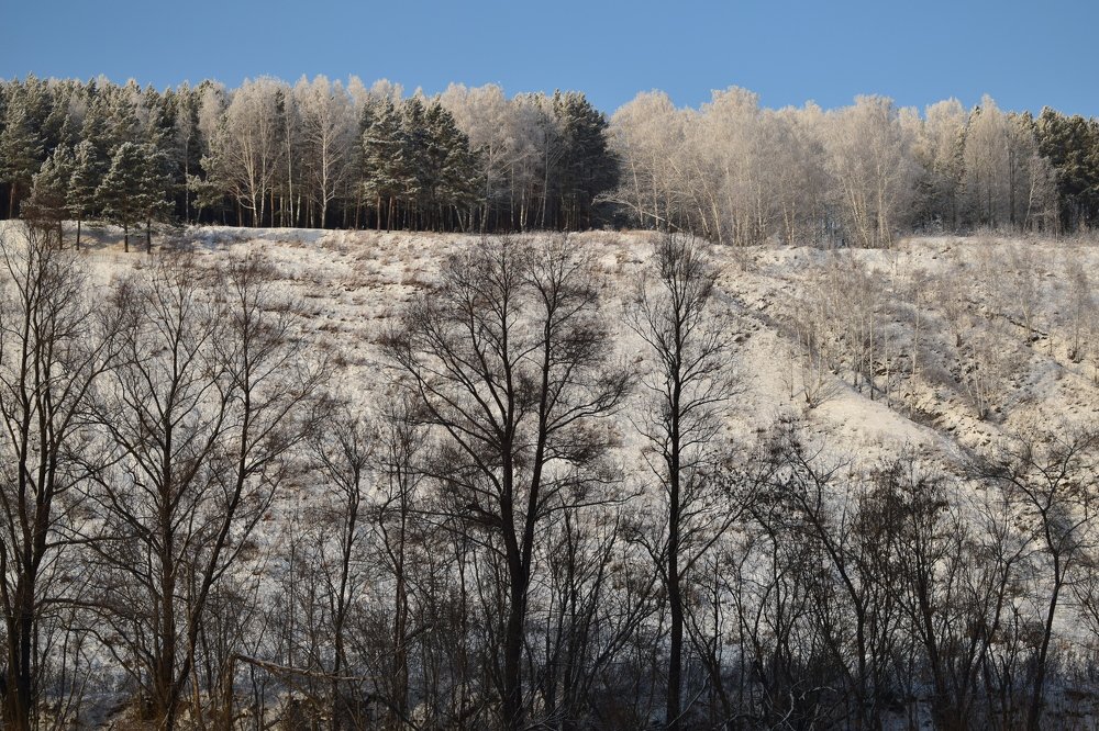 Природная панорама Весеннего микрорайона