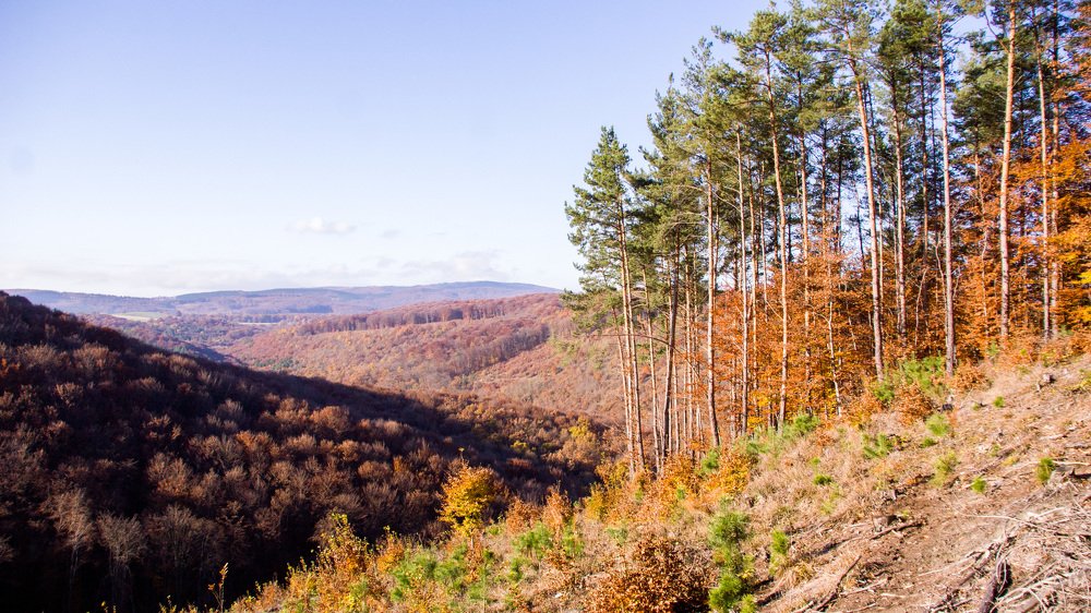 Photograph by Toth Csongor