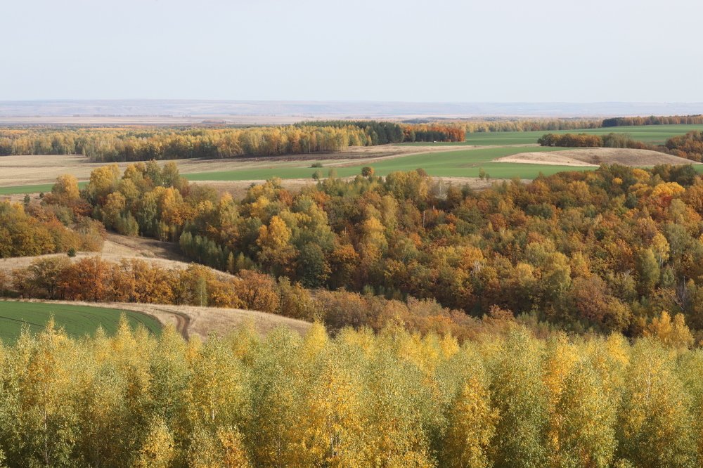 Photograph by Наталья Лыкова