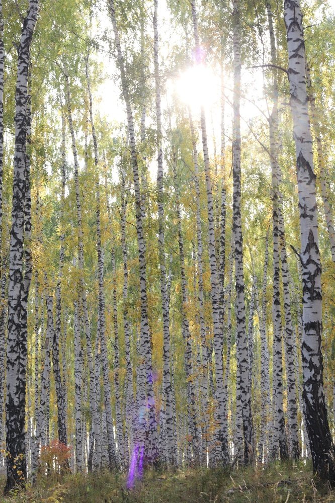 Photograph by Наталья Лыкова