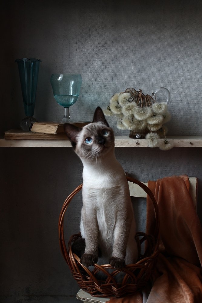 Photograph by Курочкина Диана