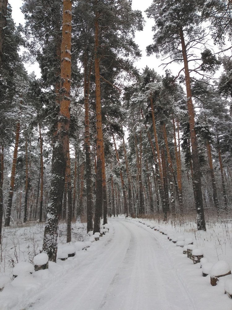 Photograph by Наталья Лыкова