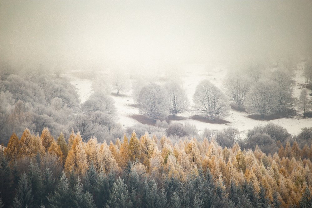 Photograph by Dzintra Zvagina