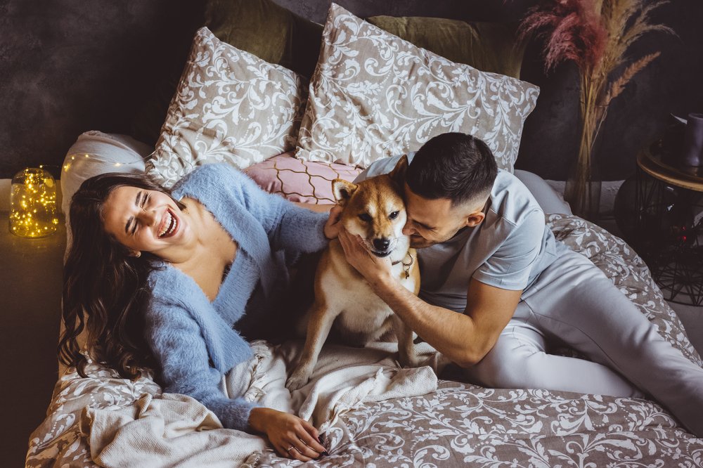 Photograph by Алина Логвиненко