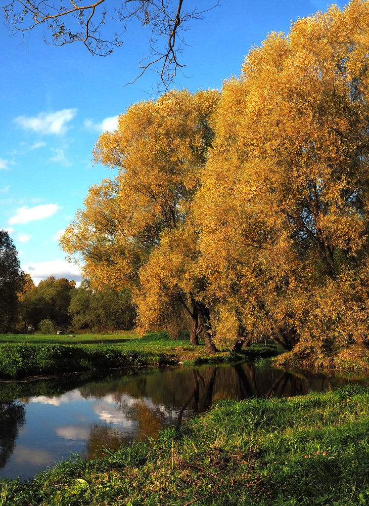 Photograph by Михаил Малец