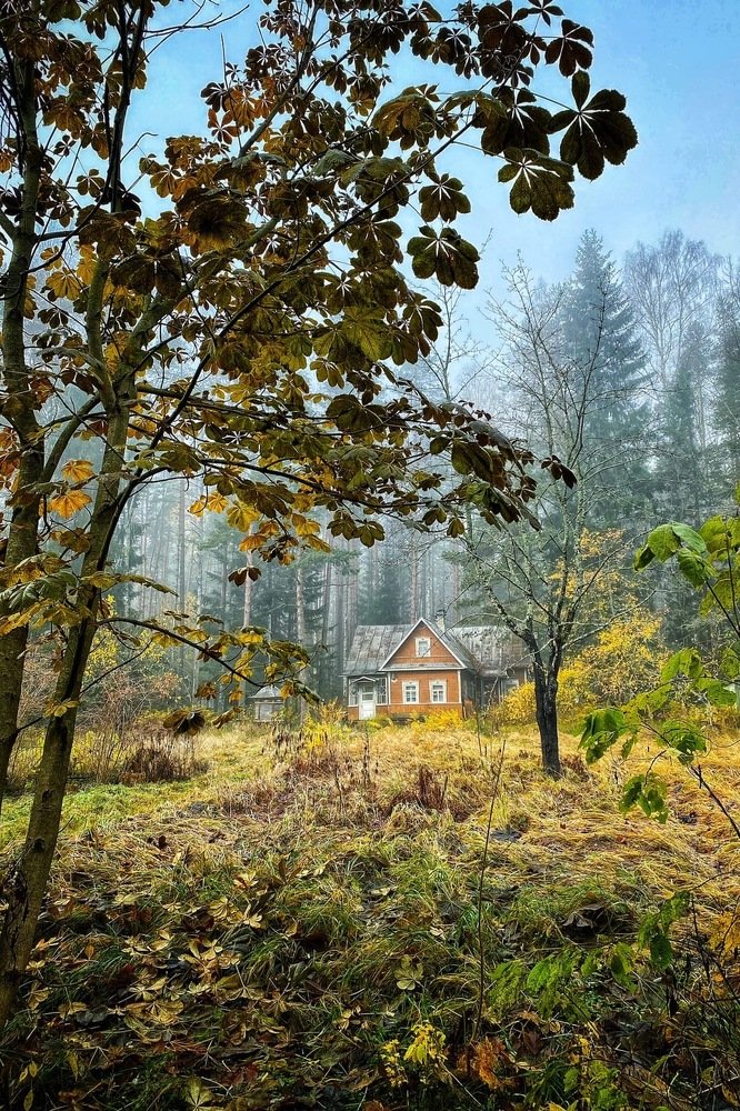 Photograph by Ирина Худзинская