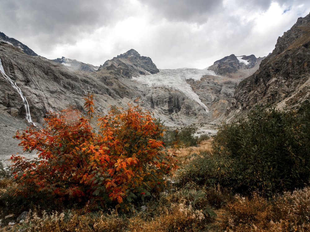 Ледник Тана