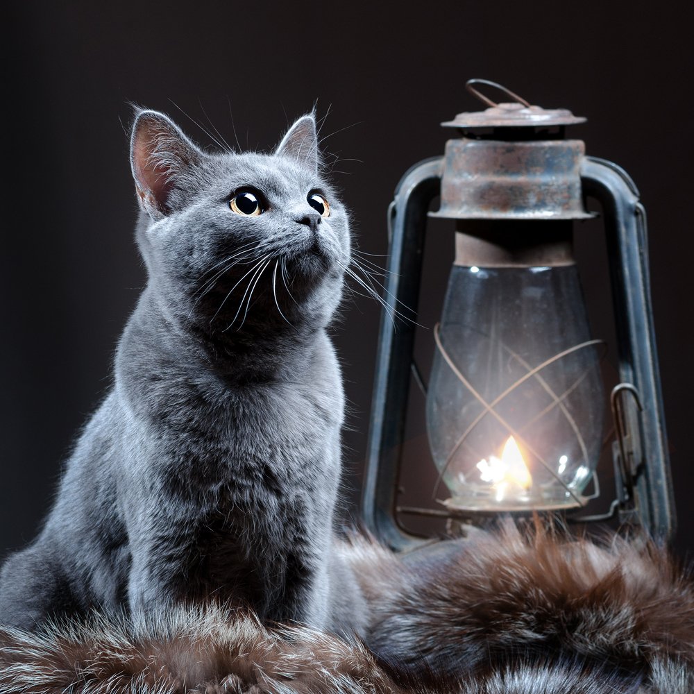 Photograph by Вячеслав Владимирович