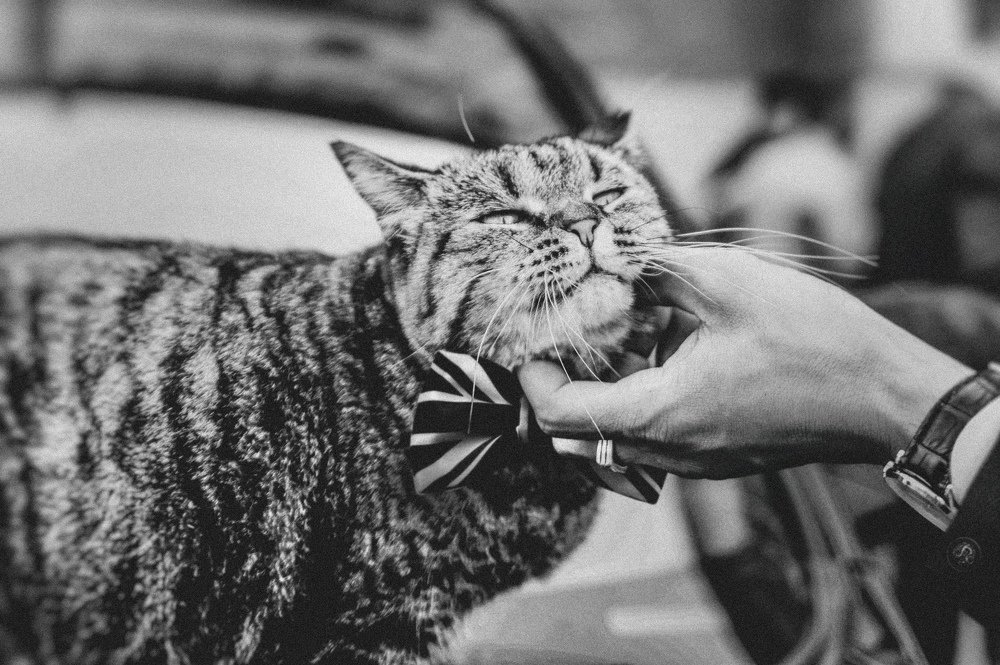 Photograph by Андрей Новак