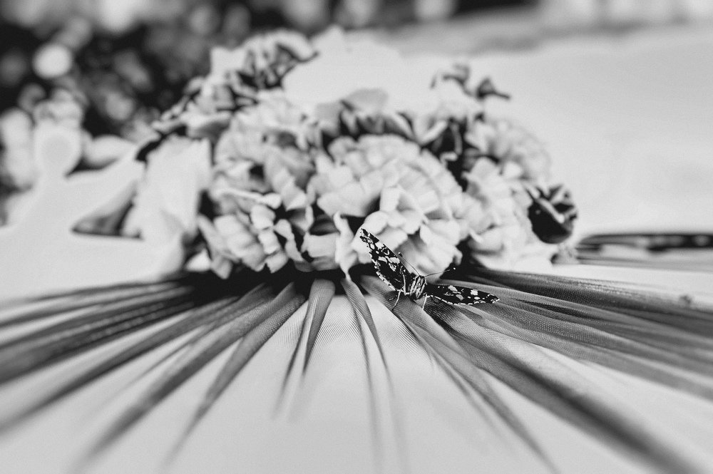 Photograph by Андрей Новак