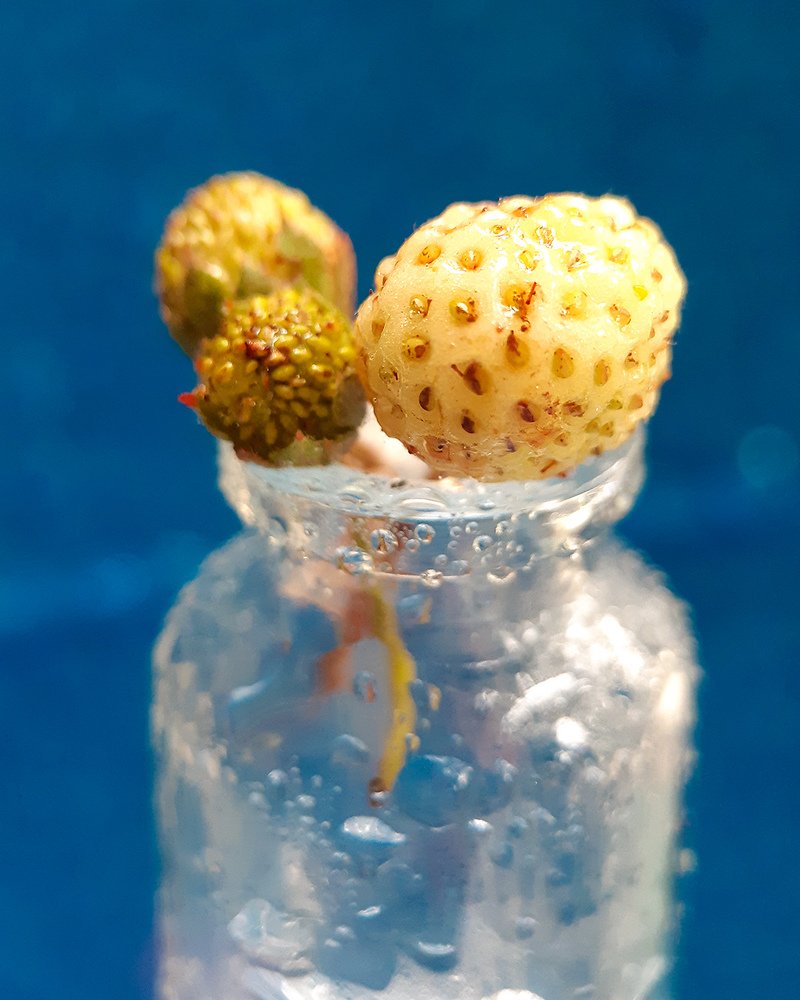 Photograph by Inessa Botasheva