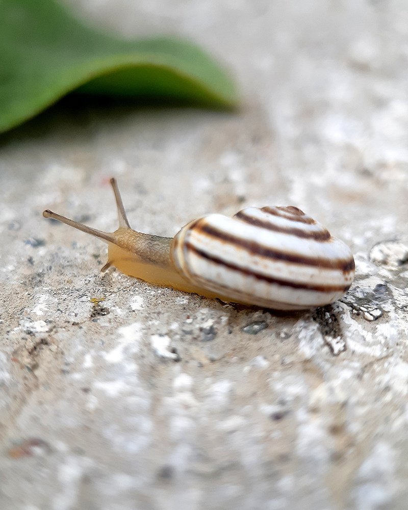 Photograph by Inessa Botasheva