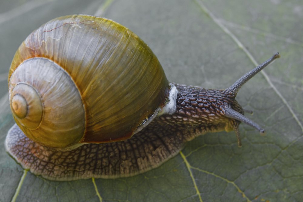 Photograph by Serhij Kharchenko