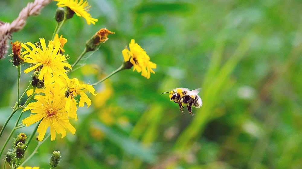 Photograph by Александр Потапов
