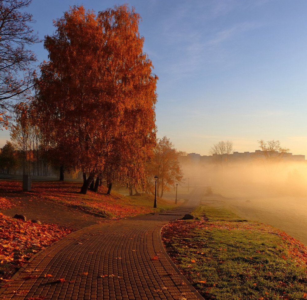 Photograph by SIARHEI RABCHONAK