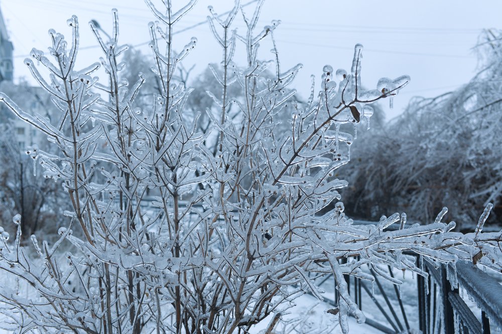 Photograph by Наталья Цуканова