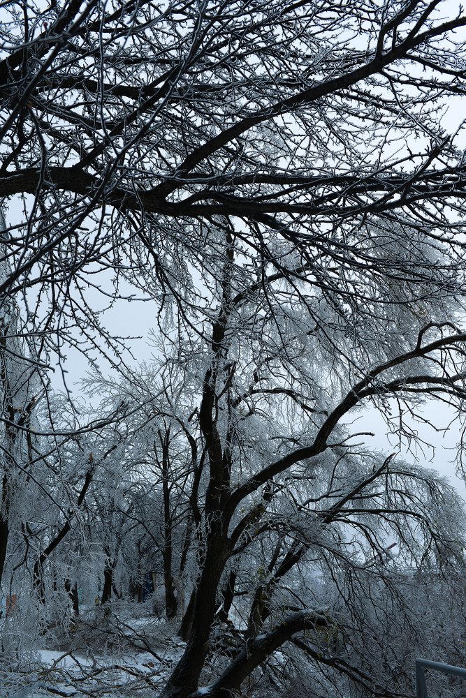 Photograph by Наталья Цуканова