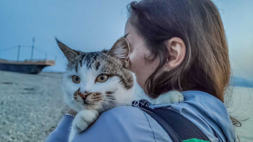 Photograph by Дмитрий Кустов