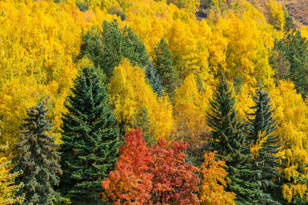 Photograph by Евгений Осадчий