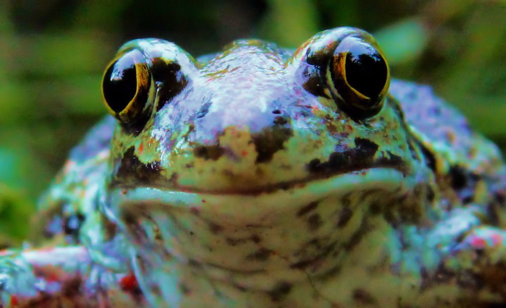 Photograph by Яшин Андрей