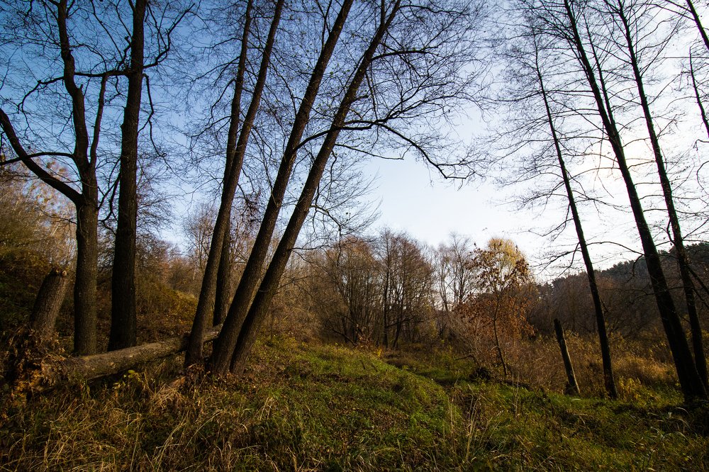 Photograph by Leonid Ivanovskij