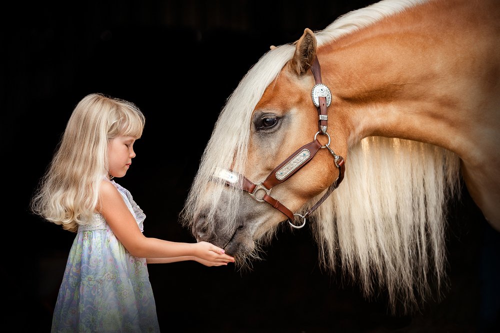 Фотография автора PO IRINA